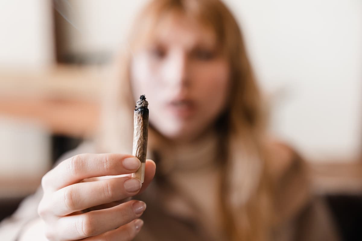 Quel est le meilleur CBD à fumer en 2026 ? Guide complet pour bien choisir sans se tromper