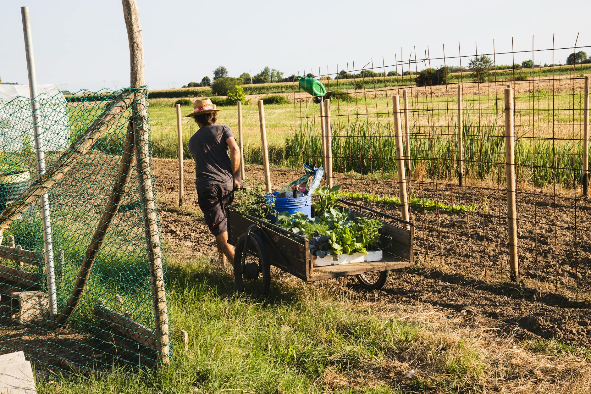 Agriconvivial : jardiner autrement pour un espace vivant