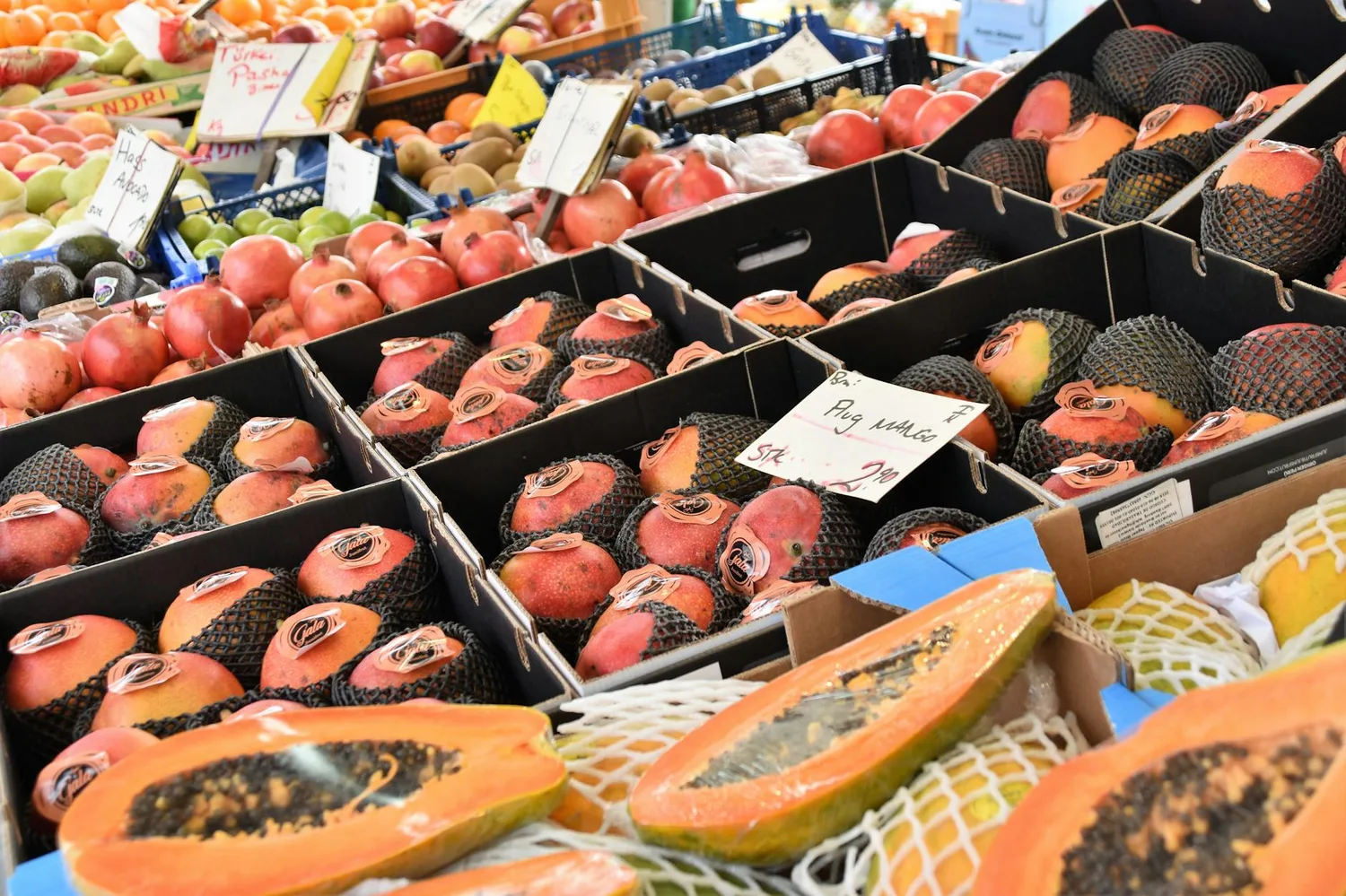 Fruits et légumes en H : lesquels cultiver et cuisiner ?