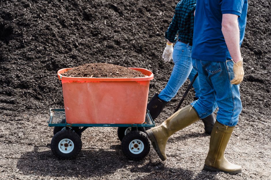Compost jardin : comment faire et que mettre dedans ?