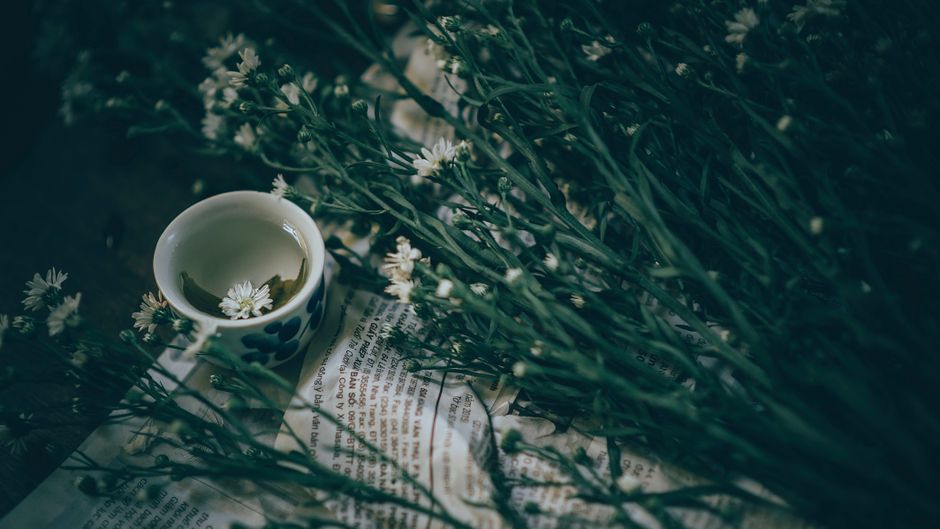Phytothérapie stress : bien choisir sans prendre de risques